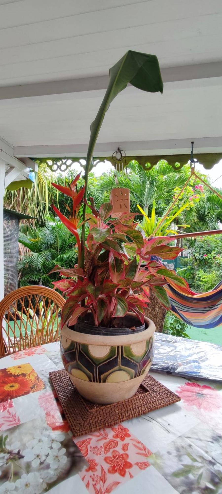 La Kaz Creole Villa Bouillante Luaran gambar